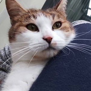 Meet your Posher, Robert